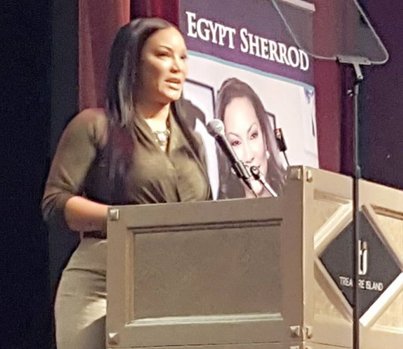 Egypt Keynotes RESA 2016 (1)